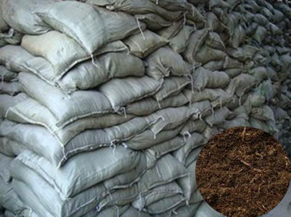 長(zhǎng)沙東日?qǐng)@林工程有限公司,長(zhǎng)沙園林綠化工程,長(zhǎng)沙綠化養(yǎng)護(hù)管理 長(zhǎng)沙東日?qǐng)@林工程有限公司,長(zhǎng)沙園林綠化工程,長(zhǎng)沙綠化養(yǎng)護(hù)管理